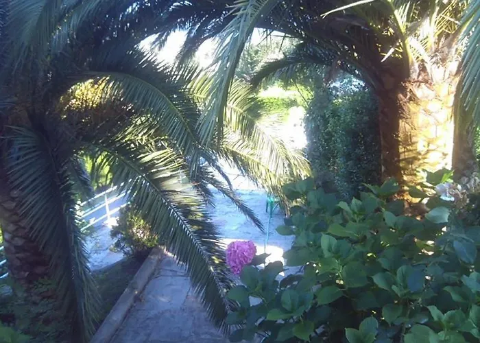 Del Pas Guest house 2*